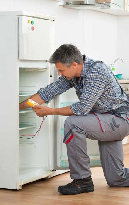 fridge-repair-service refrigerator-repair-service-in-jaipur